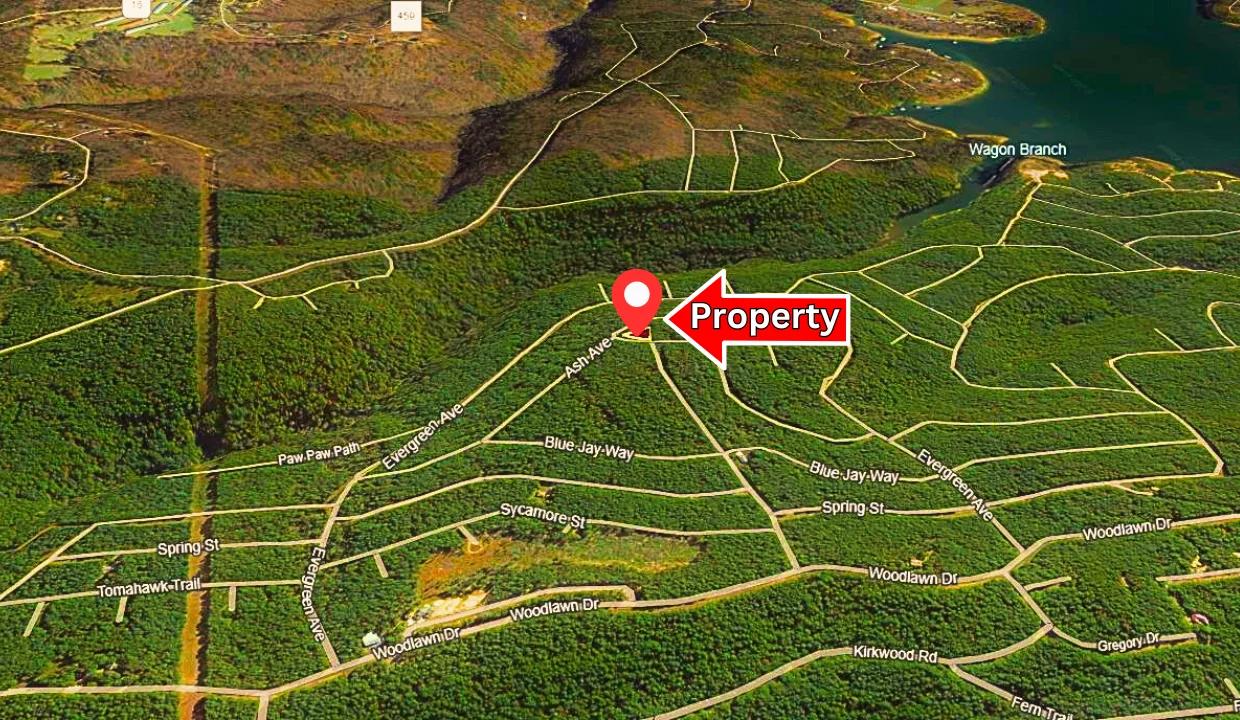 Decorative background for 0.24-Acre Lot in a Prime Location in Fairfield Bay, AR image 6