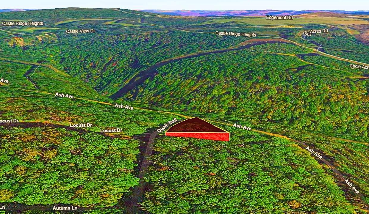 Decorative background for 0.24-Acre Lot in a Prime Location in Fairfield Bay, AR image 10