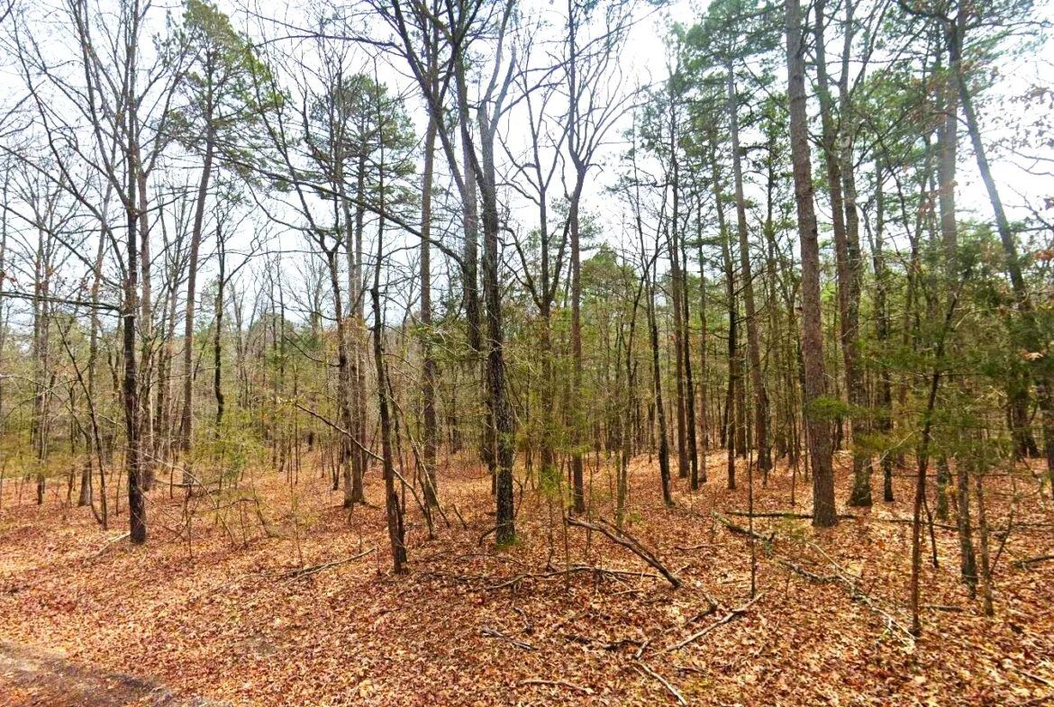 0.26-Acre Cheap Land for Sale in Arkansas Ozarks in Van Buren County, AR