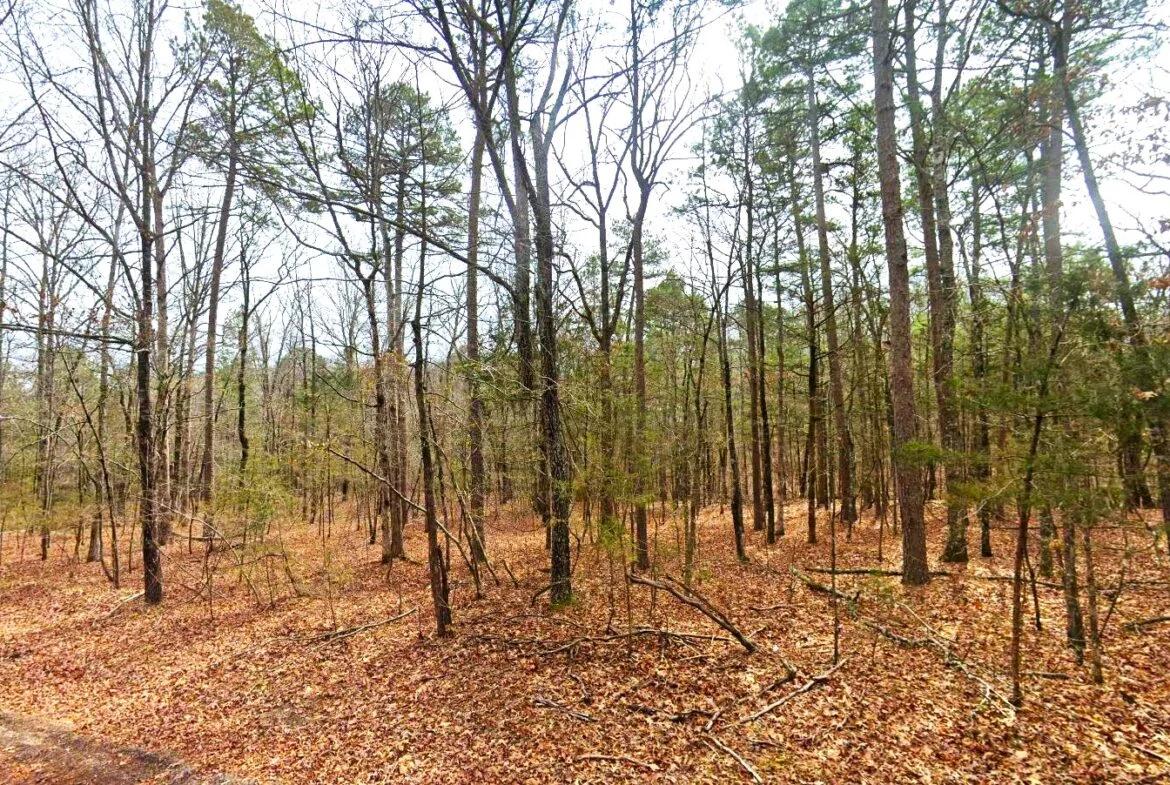 0.26-Acre Cheap Land for Sale in Arkansas Ozarks - Image 2