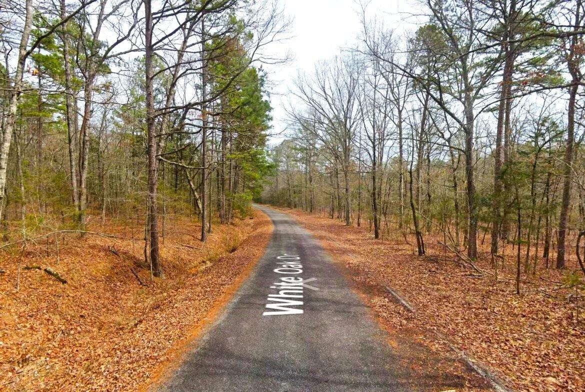 0.26-Acre Cheap Land for Sale in Arkansas Ozarks - Image 3