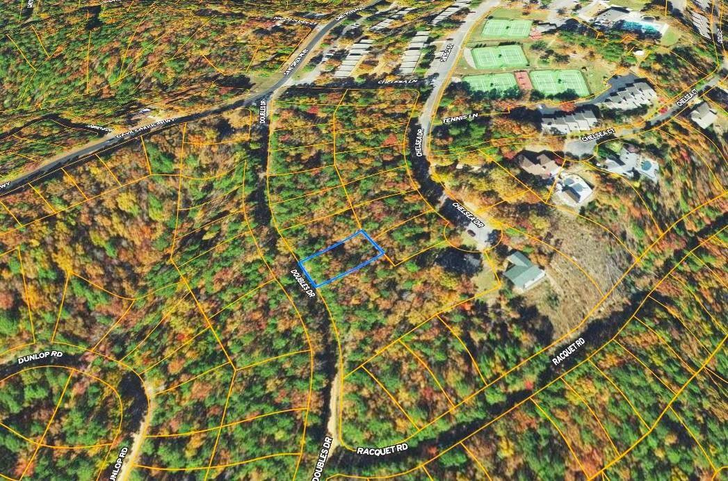 Decorative background for 0.26-Acre Mountain View Arkansas image 5