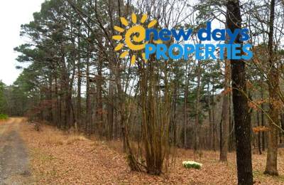 0.26-Acre Mountain View Arkansas
