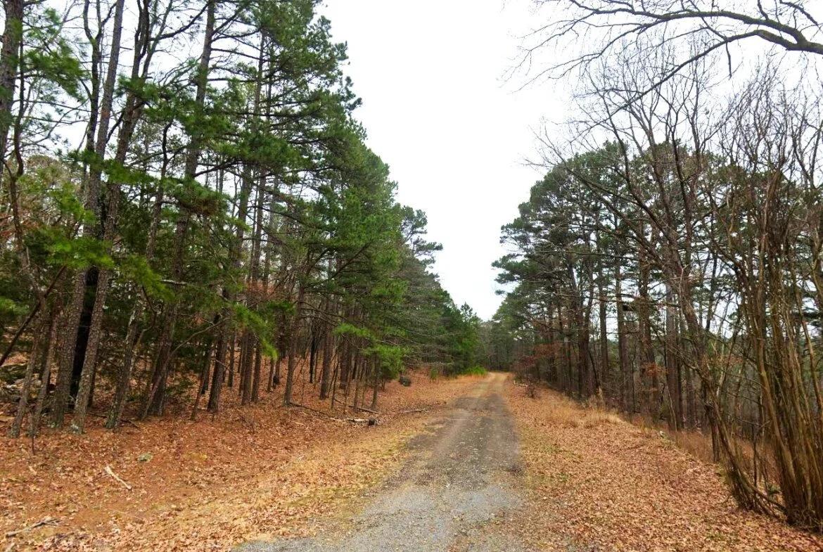 0.26-Acre Mountain View Arkansas - Image 2