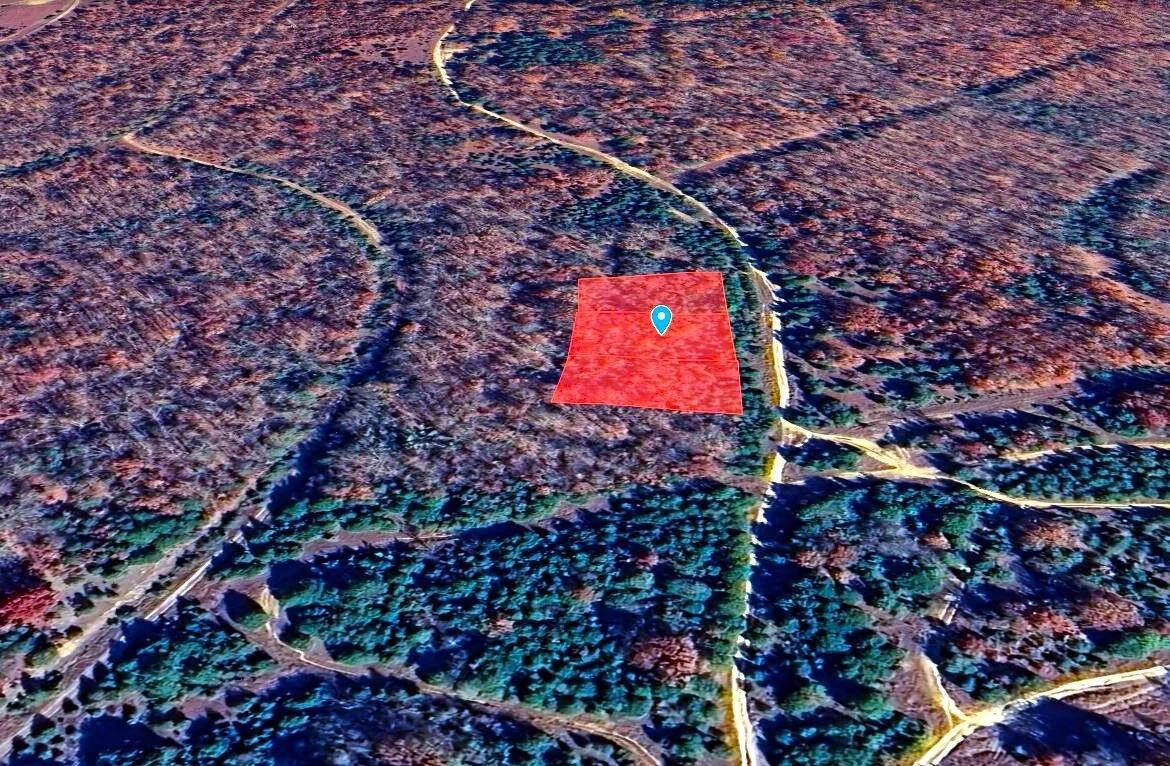 Decorative background for 1.05 Acre Land for Sale in Arkansas image 5