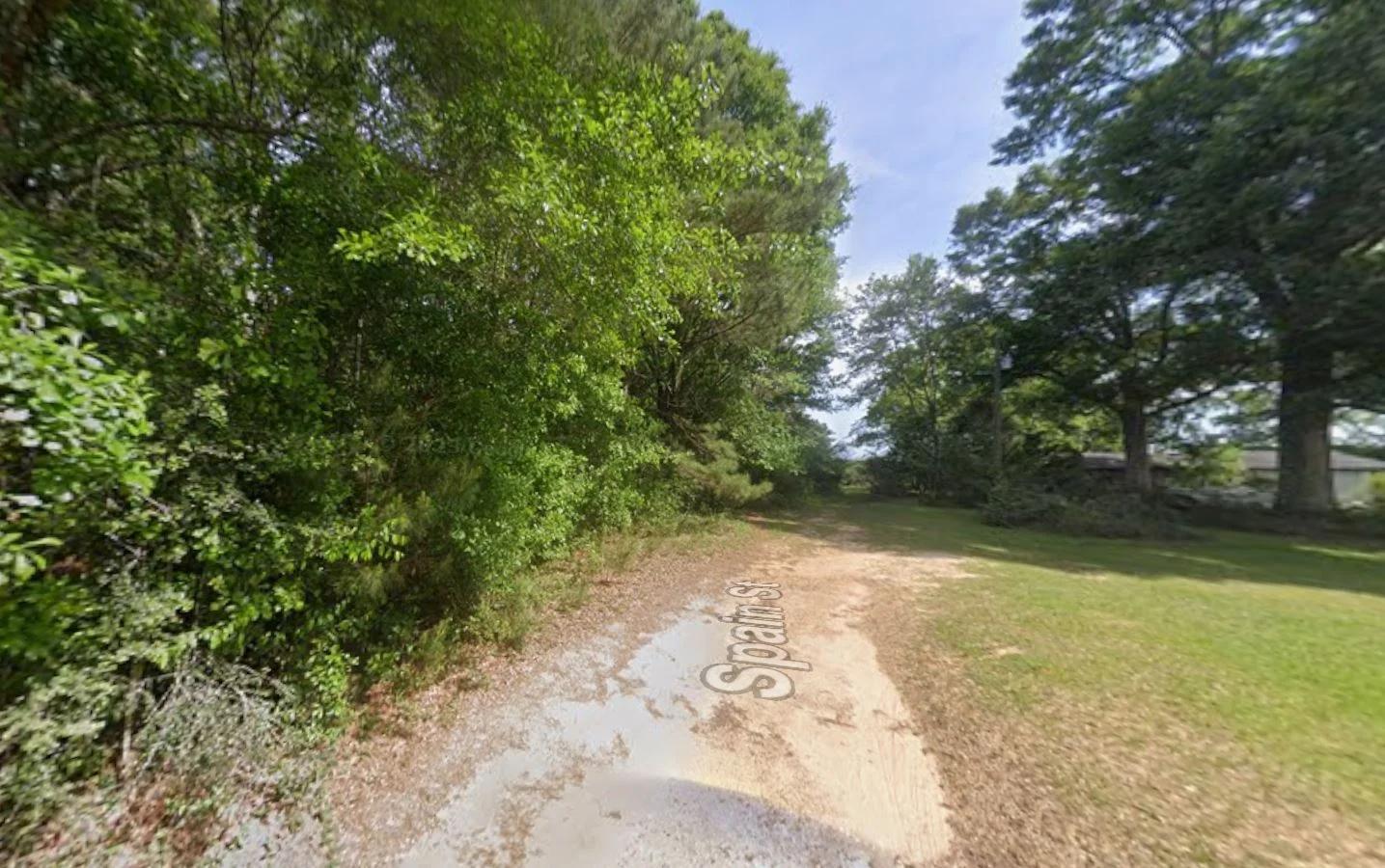 0.28 Acre Wooded Lot Near Lake! - Image 2