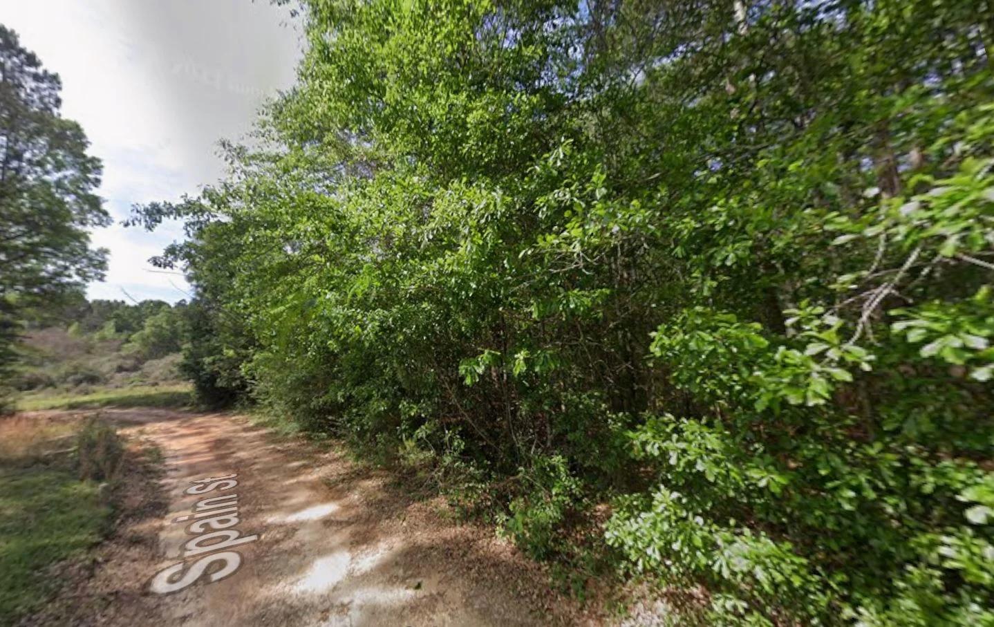 0.28 Acre Wooded Lot Near Lake! - Image 3