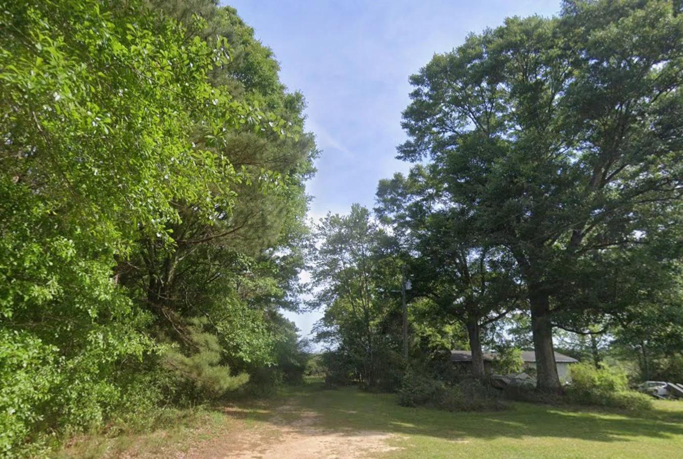 0.28 Acre Wooded Lot Near Lake! - Image 4