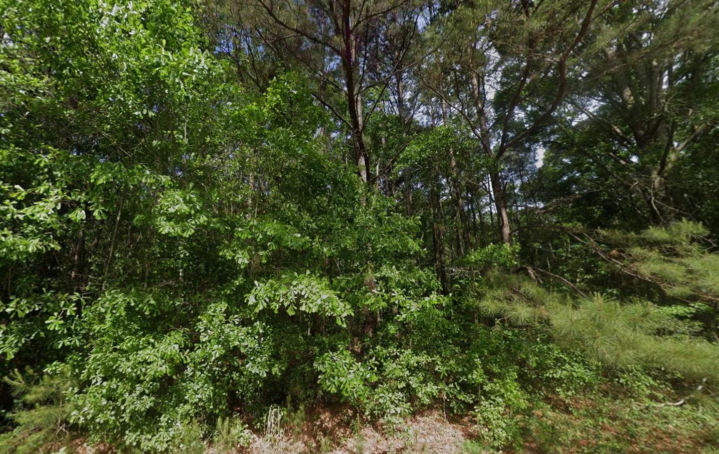Decorative background for 0.28 Acre Wooded Lot Near Lake! image 5