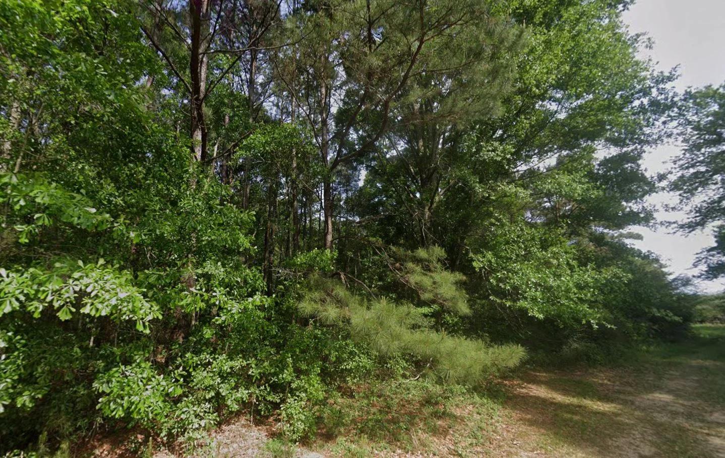 Decorative background for 0.28 Acre Wooded Lot Near Lake! image 6