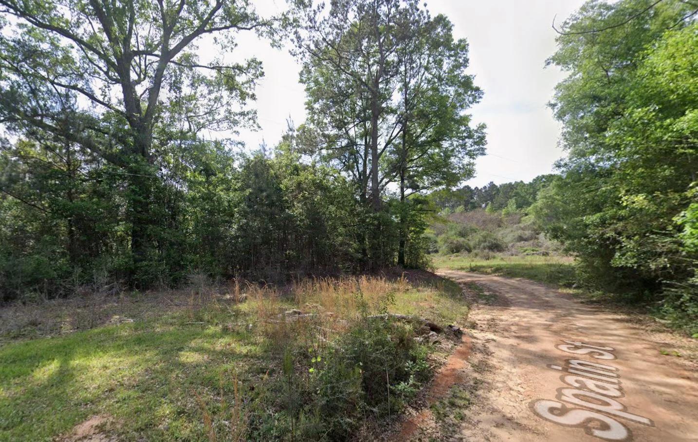Decorative background for 0.28 Acre Wooded Lot Near Lake! image 7