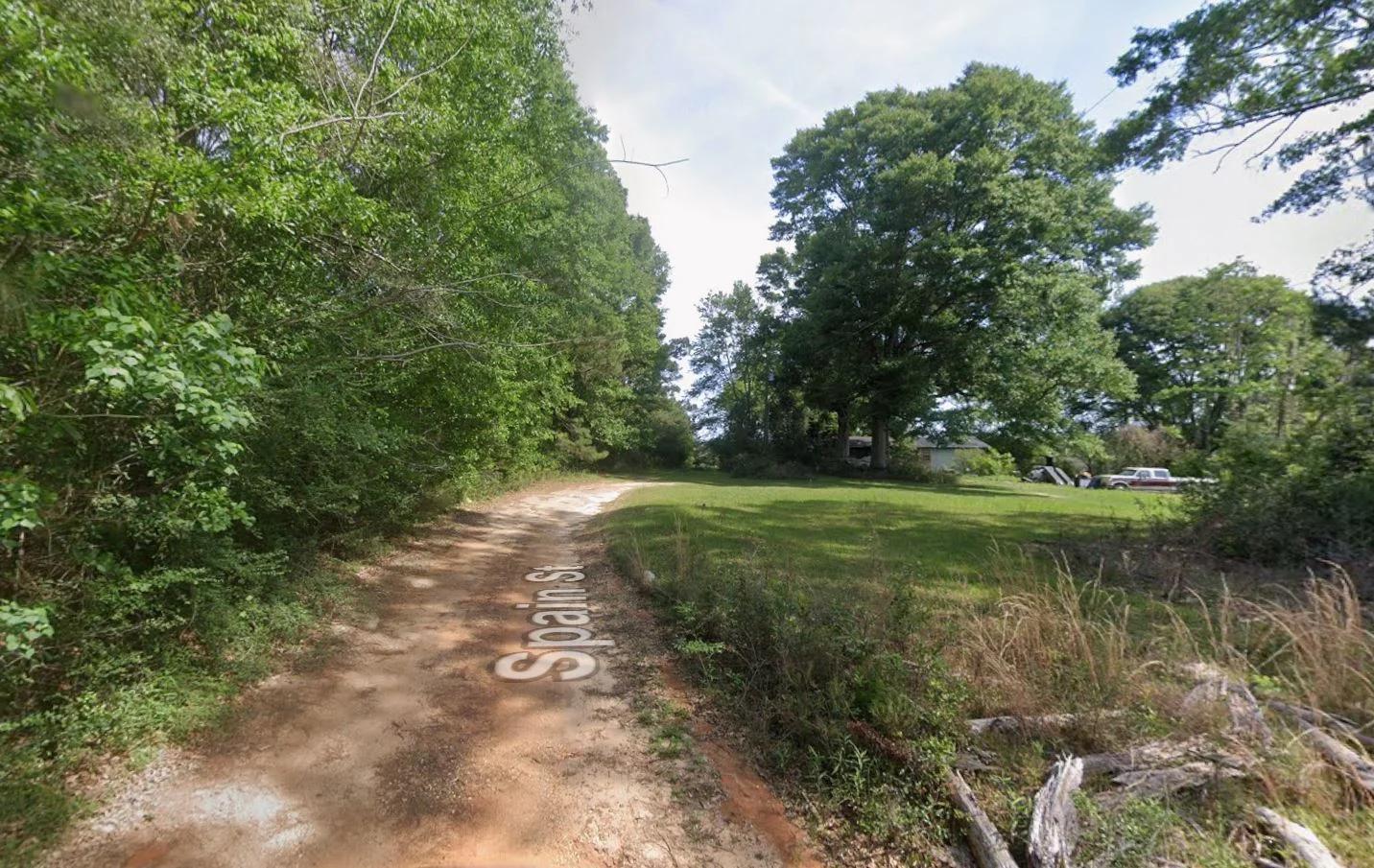 Decorative background for 0.28 Acre Wooded Lot Near Lake! image 8