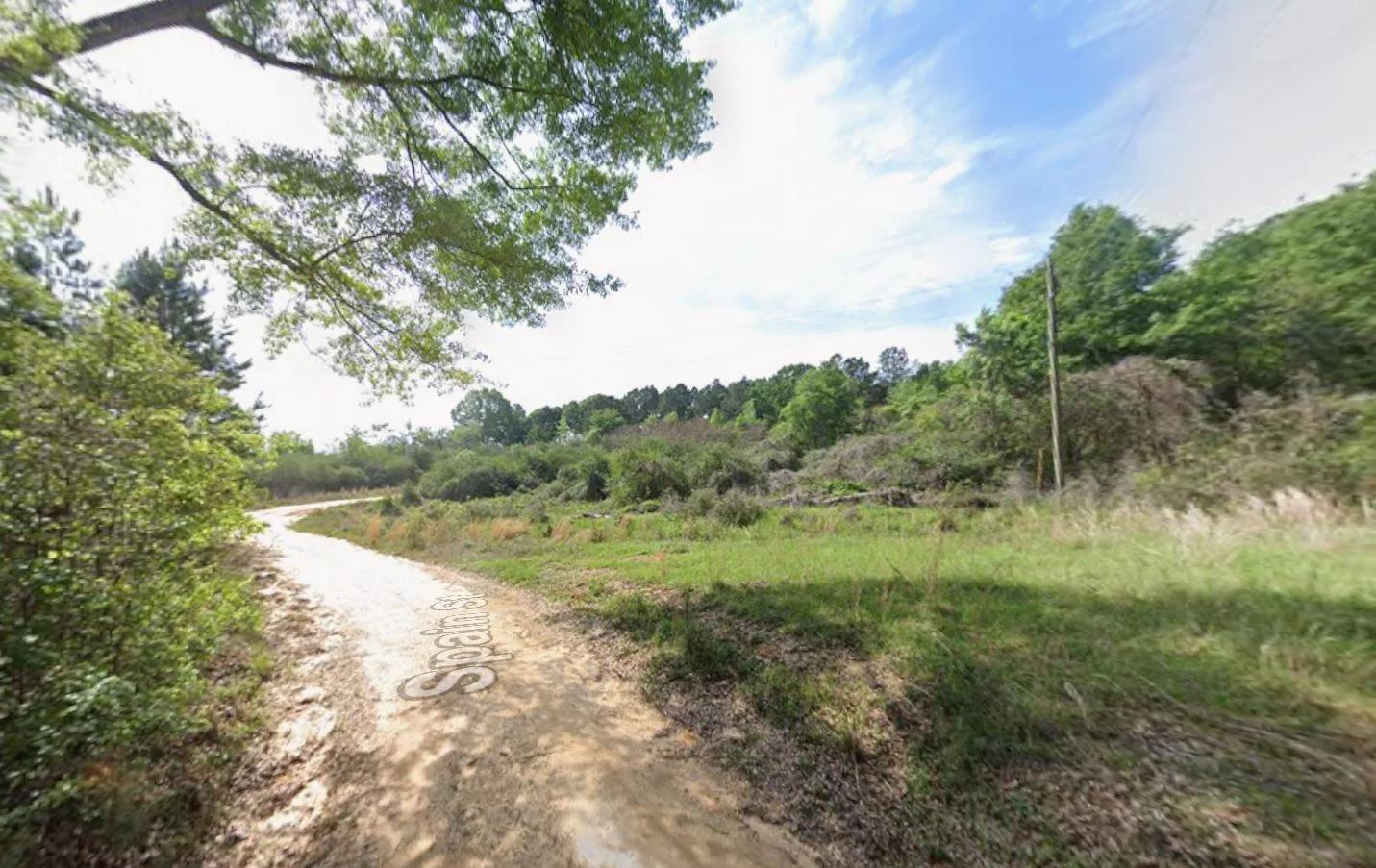 Decorative background for 0.28 Acre Wooded Lot Near Lake! image 9