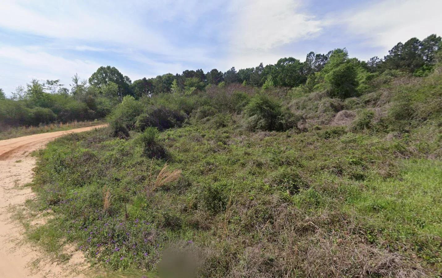 Decorative background for 0.28 Acre Wooded Lot Near Lake! image 10
