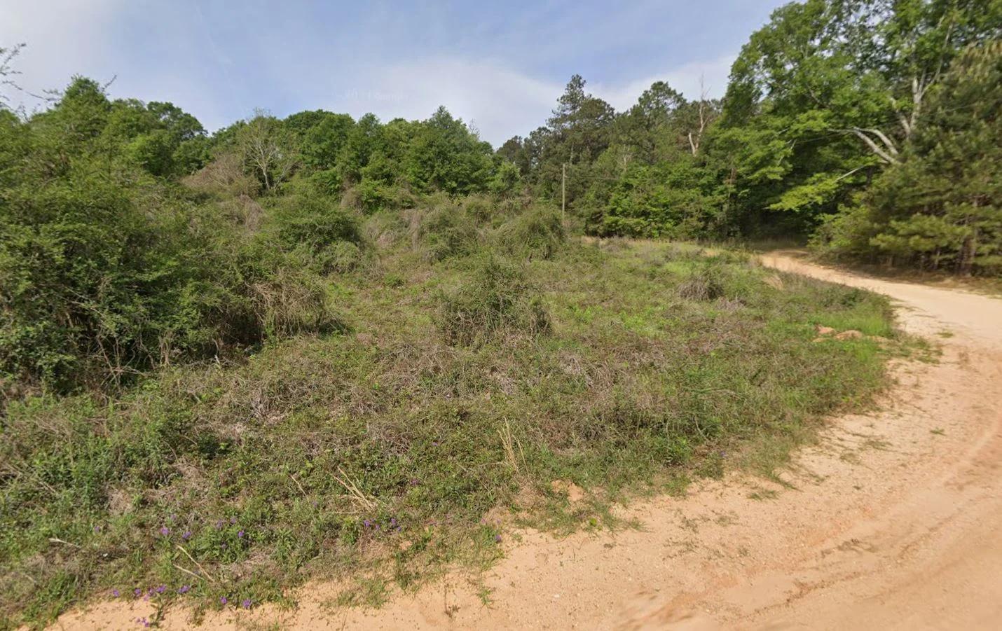 Decorative background for 0.28 Acre Wooded Lot Near Lake! image 11