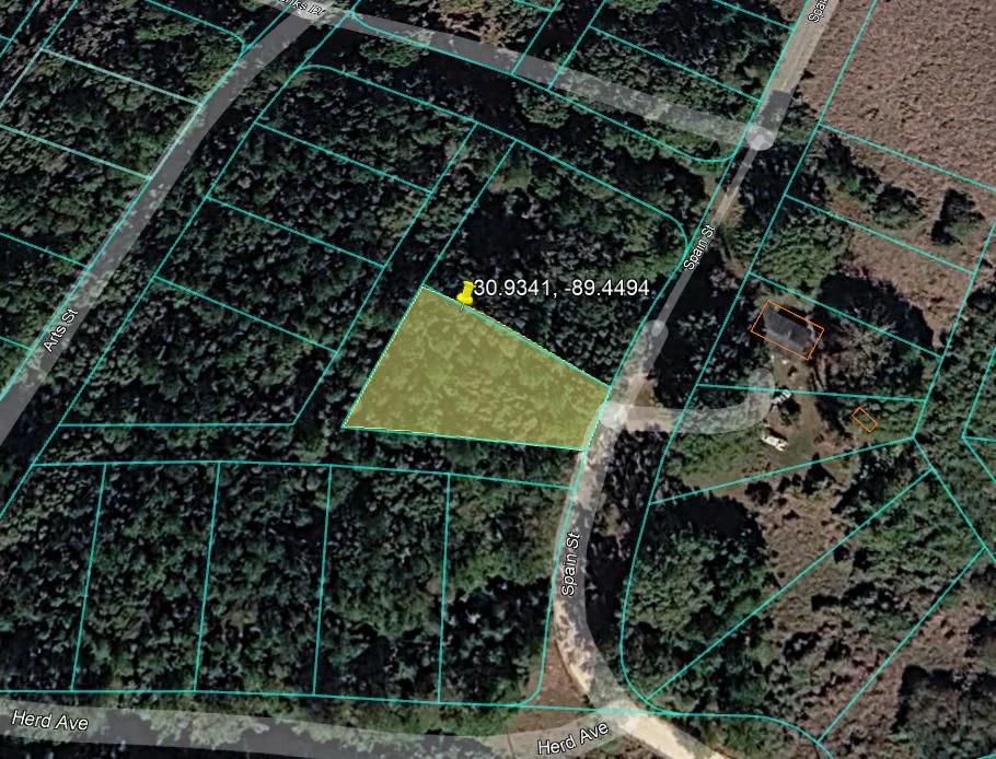 Decorative background for 0.28 Acre Wooded Lot Near Lake! image 12