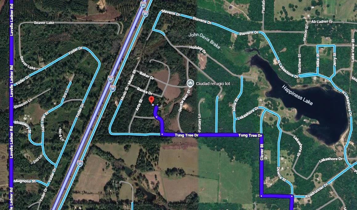 Decorative background for 0.28 Acre Wooded Lot Near Lake! image 19