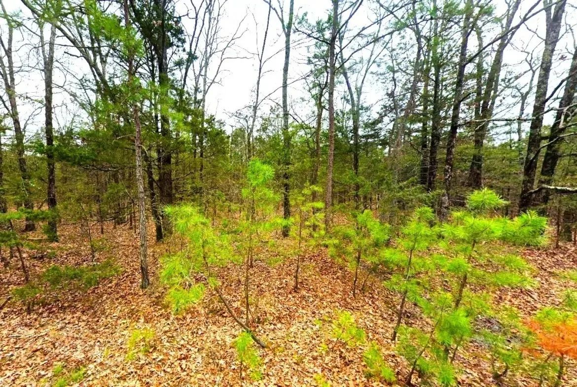 0.23-Acre Land in Ozark Arkansas For Sale in Van Buren County, AR