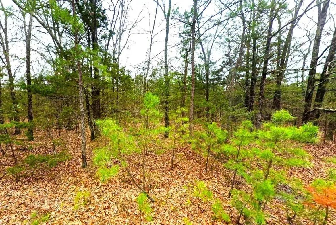 0.23-Acre Land in Ozark Arkansas For Sale - Image 3