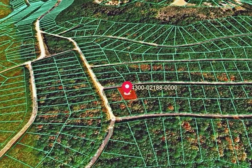 0.23-Acre Land in Ozark Arkansas For Sale - Image 4