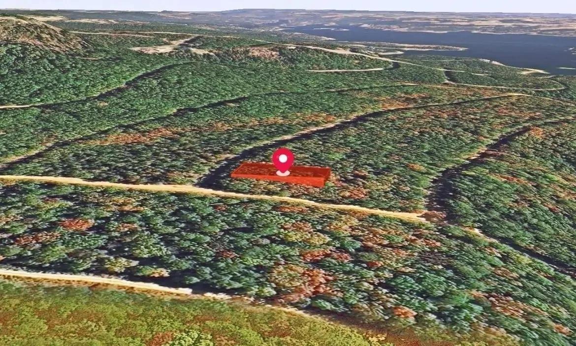 Decorative background for 0.23-Acre Land in Ozark Arkansas For Sale image 6