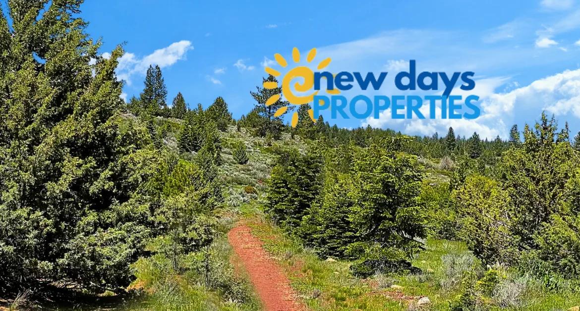 1.84-Acre Wooded Lot for Sale in Alturas, CA - Main image