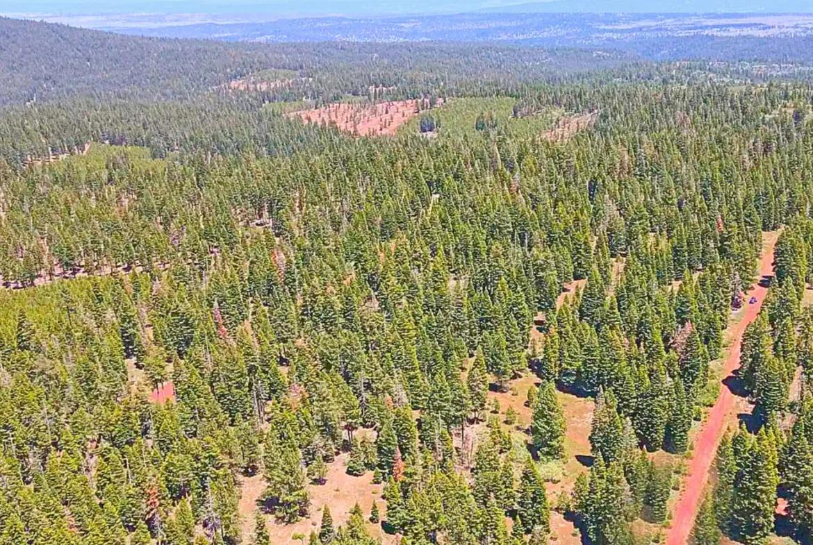 1.84-Acre Wooded Lot for Sale in Alturas, CA - Image 3