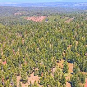 1.84-Acre Wooded Lot for Sale in Alturas, CA in Modoc County, CA