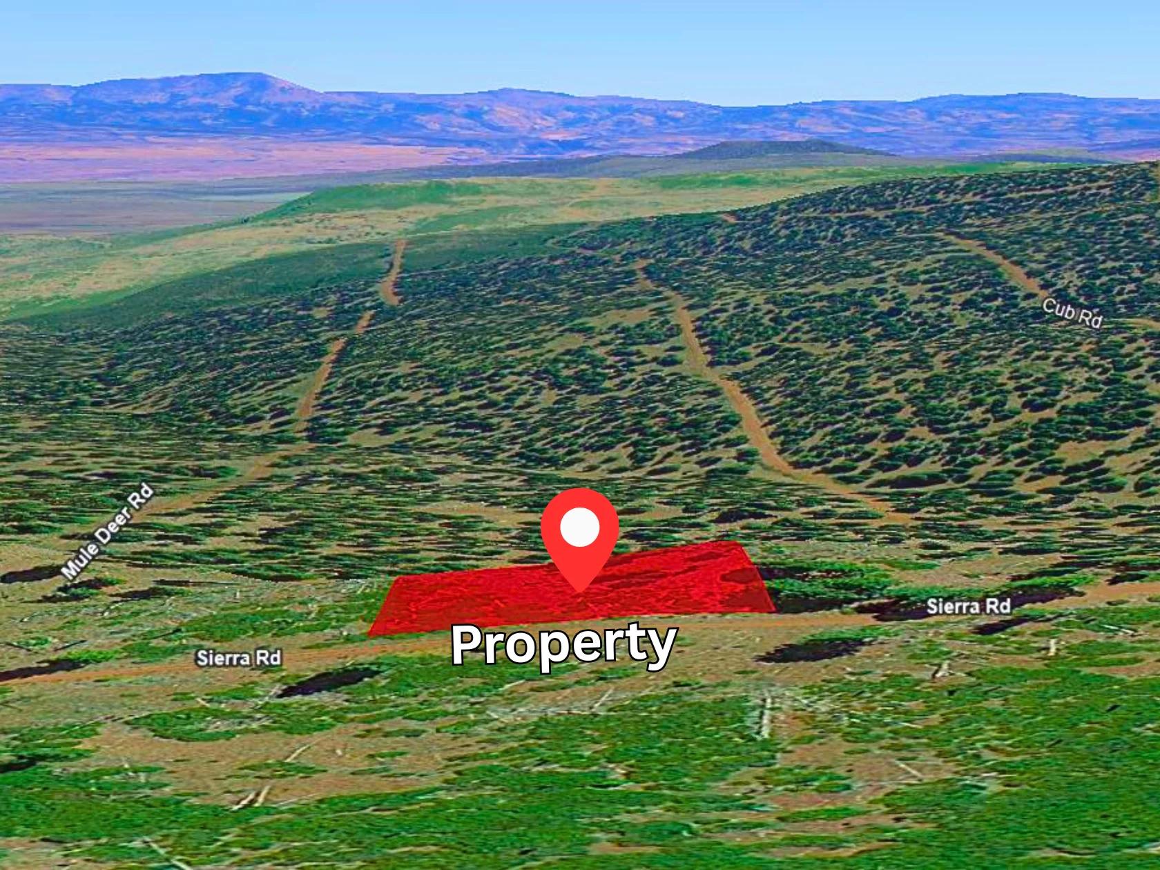 Decorative background for 1.84-Acre Wooded Lot for Sale in Alturas, CA image 9