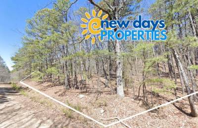 0.25 Acres of Mountainous Treed Land