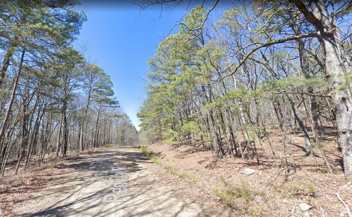 0.25 Acres of Mountainous Treed Land - Image 2