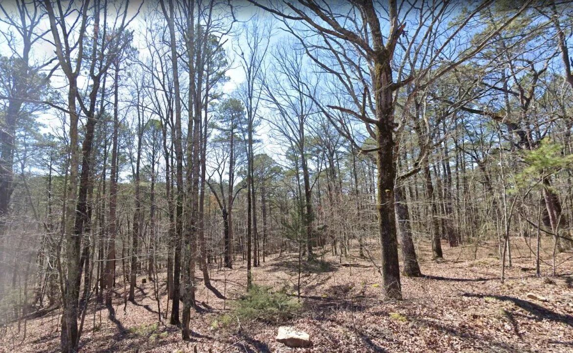 0.25 Acres of Mountainous Treed Land in Van Buren County, AR