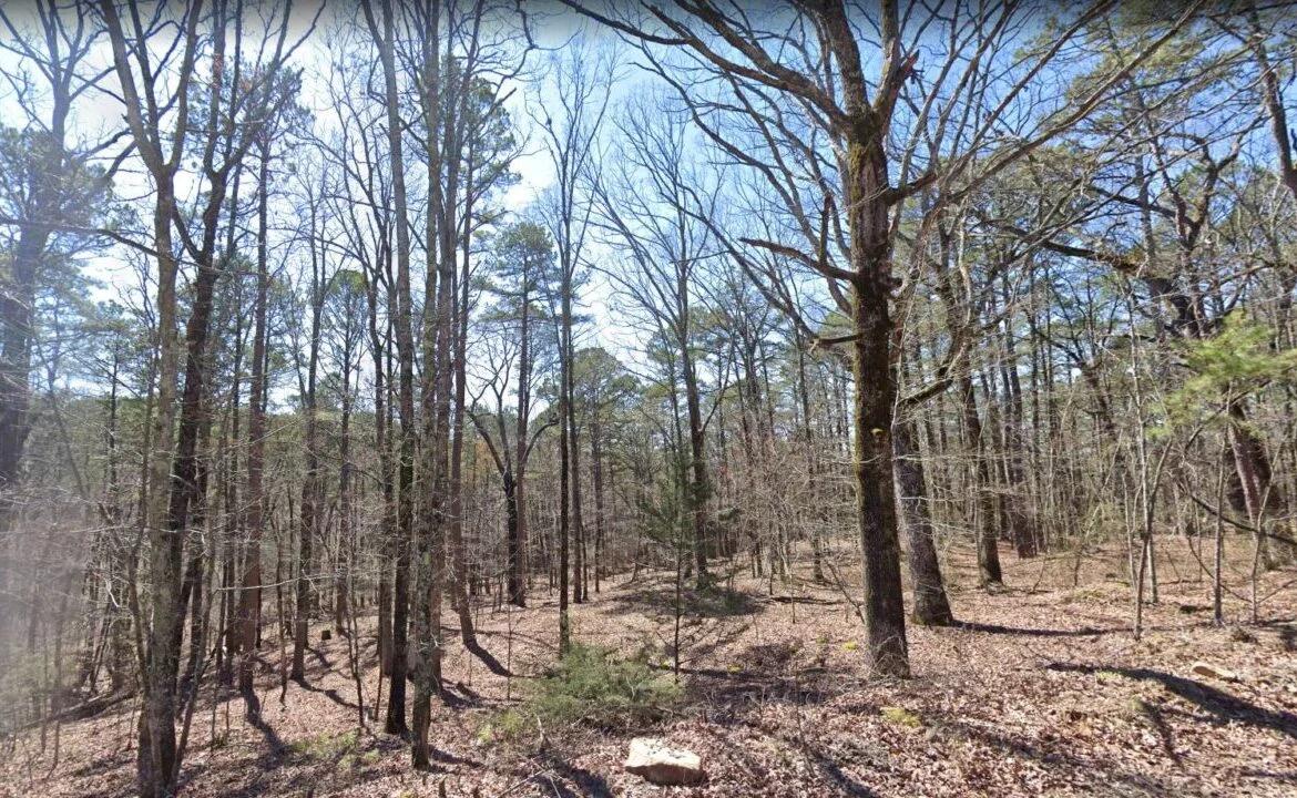 0.25 Acres of Mountainous Treed Land - Image 3