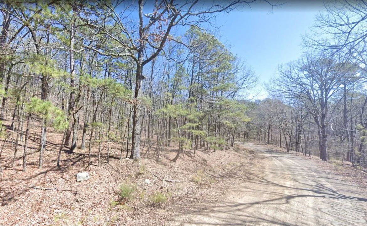 0.25 Acres of Mountainous Treed Land in Van Buren County, AR