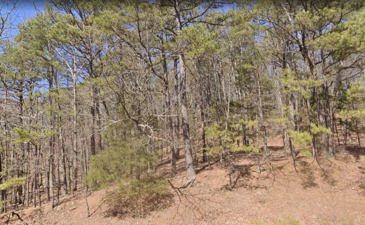 Decorative background for 0.25 Acres of Mountainous Treed Land image 6