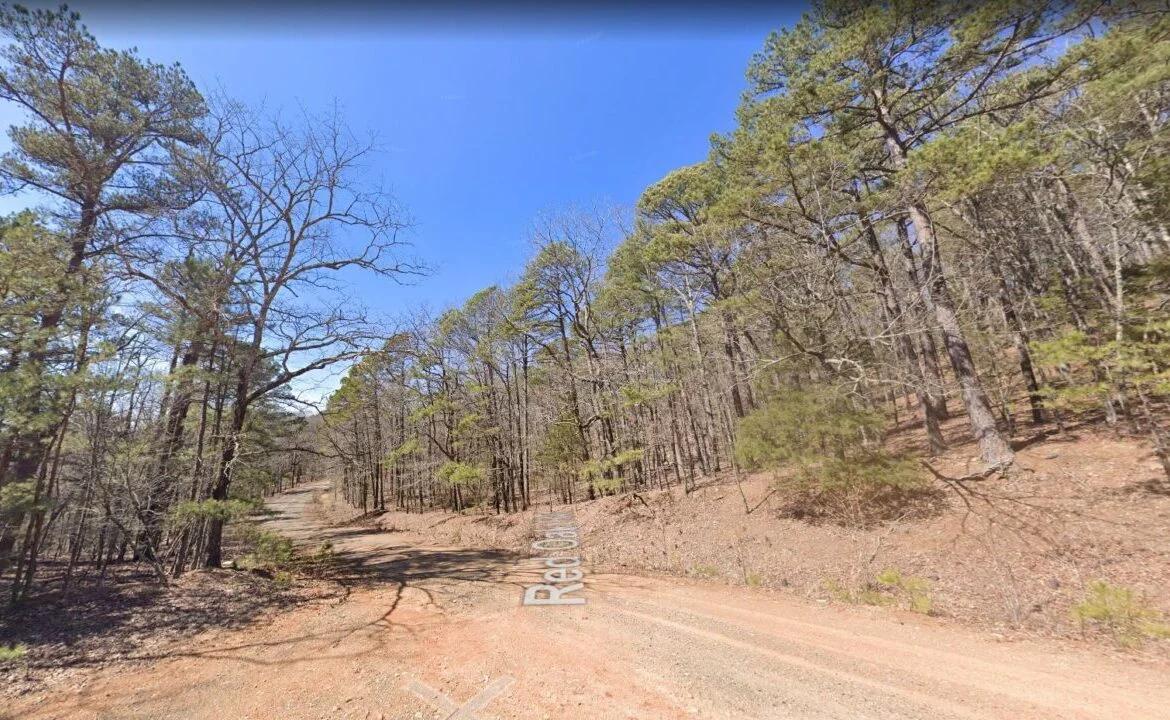 Decorative background for 0.25 Acres of Mountainous Treed Land image 7