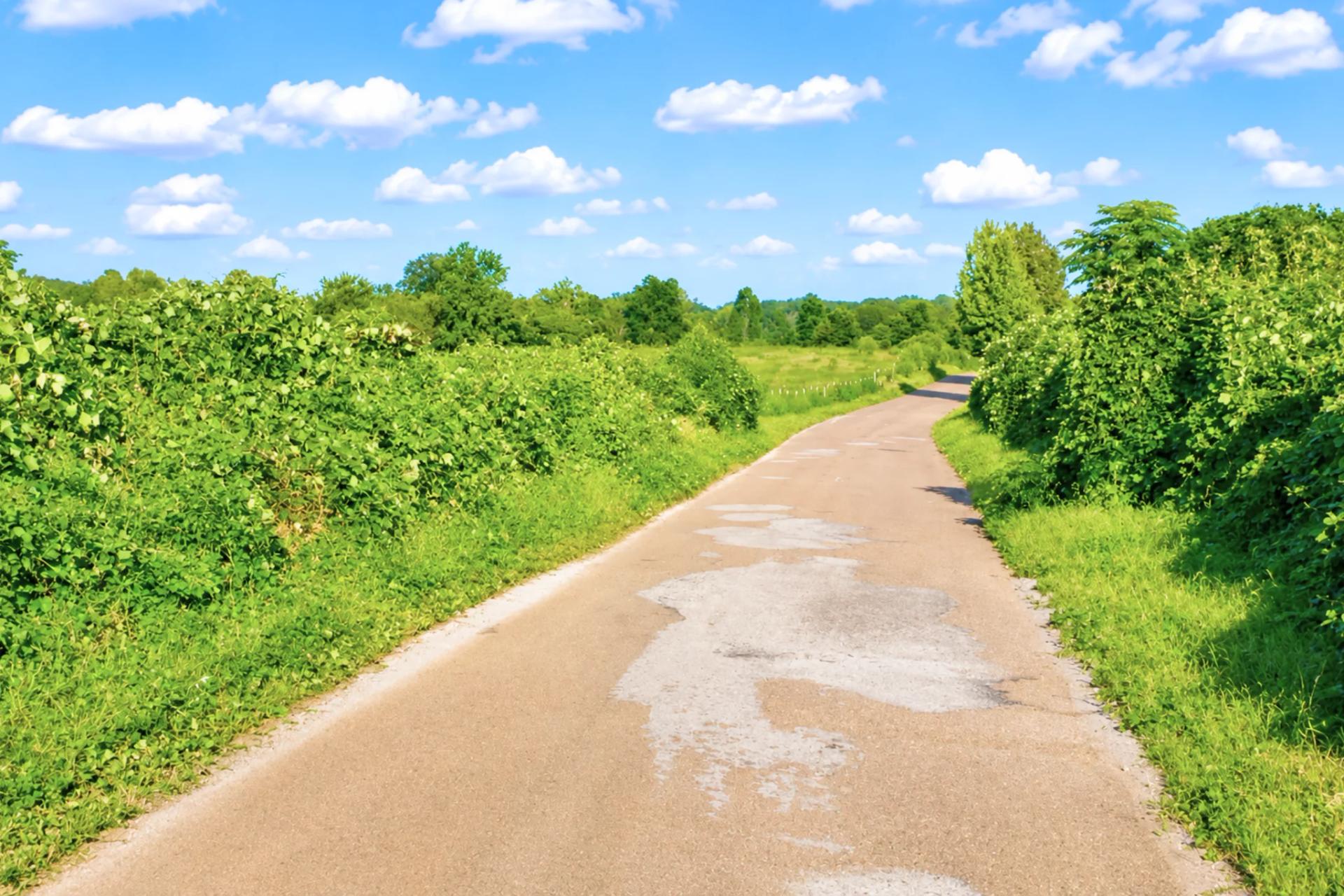 0.10 Acre Unrestricted Lot! - Image 3
