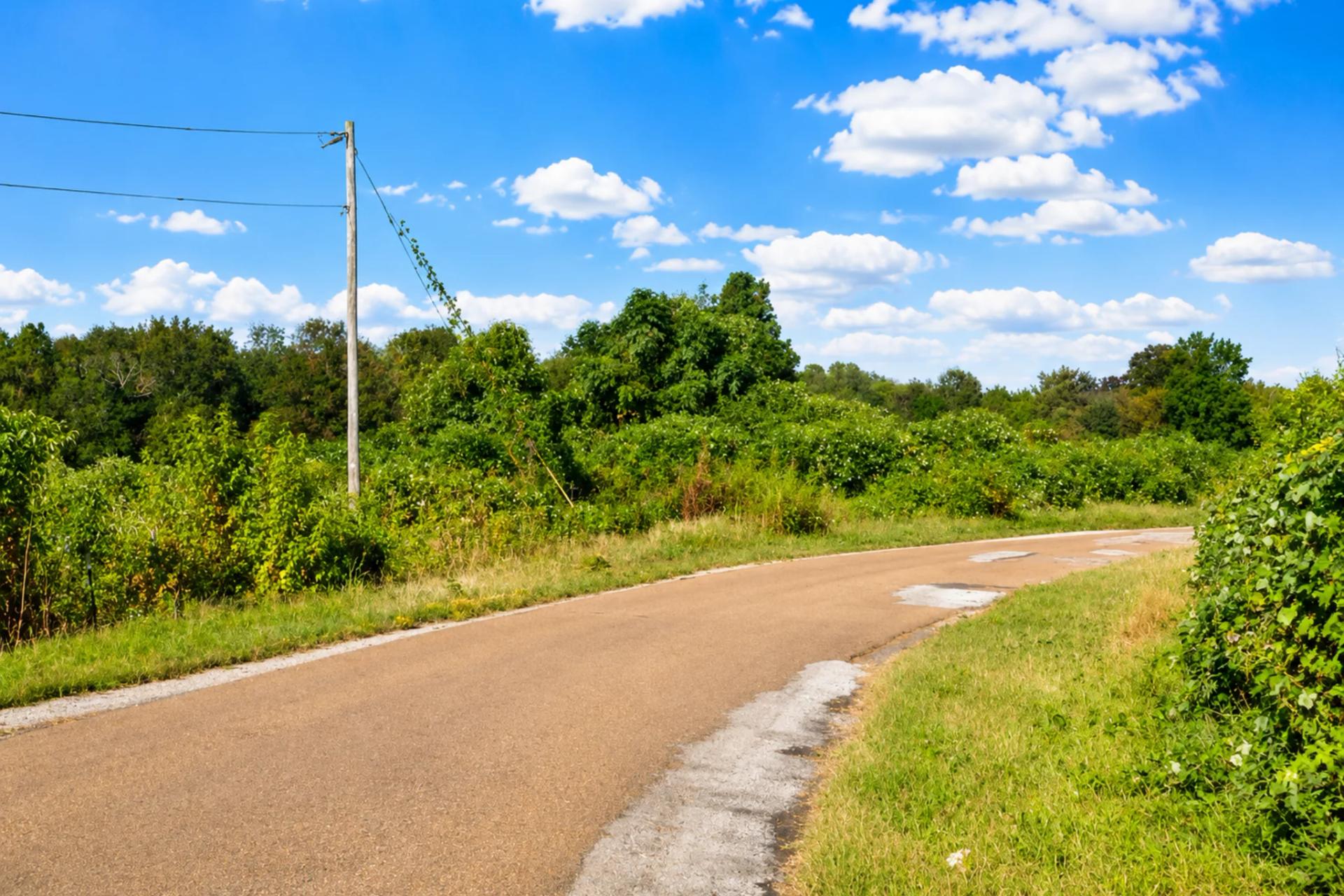 Decorative background for 0.10 Acre Unrestricted Lot! image 10
