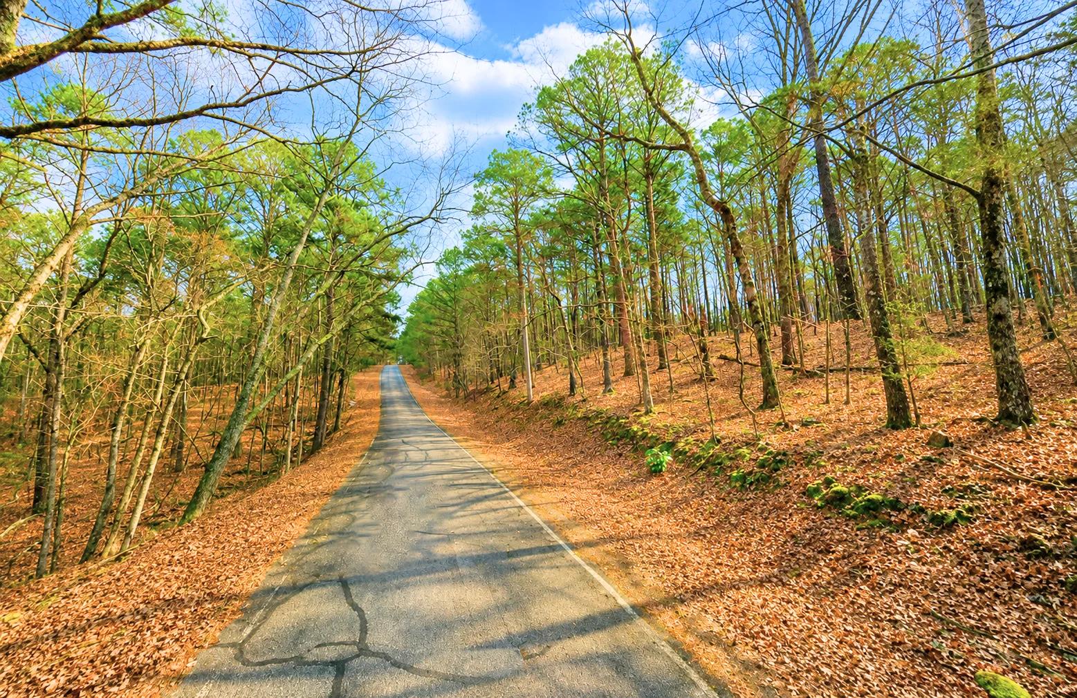0.33-Acre Land for Sale in Ozarks, Arkansas - Image 2