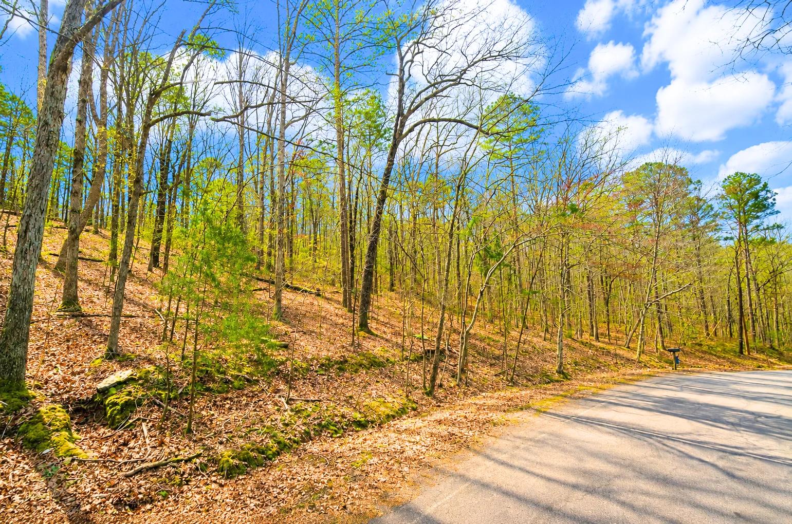 0.33-Acre Land for Sale in Ozarks, Arkansas - Image 3