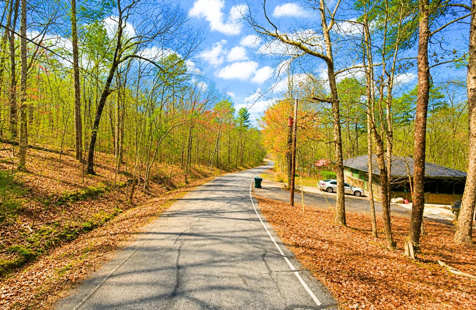 0.33-Acre Land for Sale in Ozarks, Arkansas - Image 4