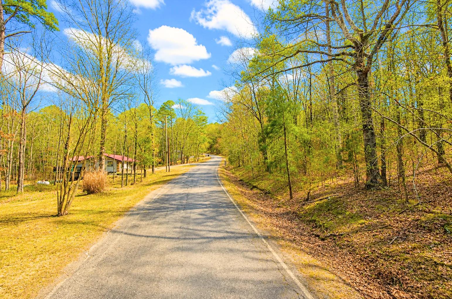Decorative background for 0.33-Acre Land for Sale in Ozarks, Arkansas image 5