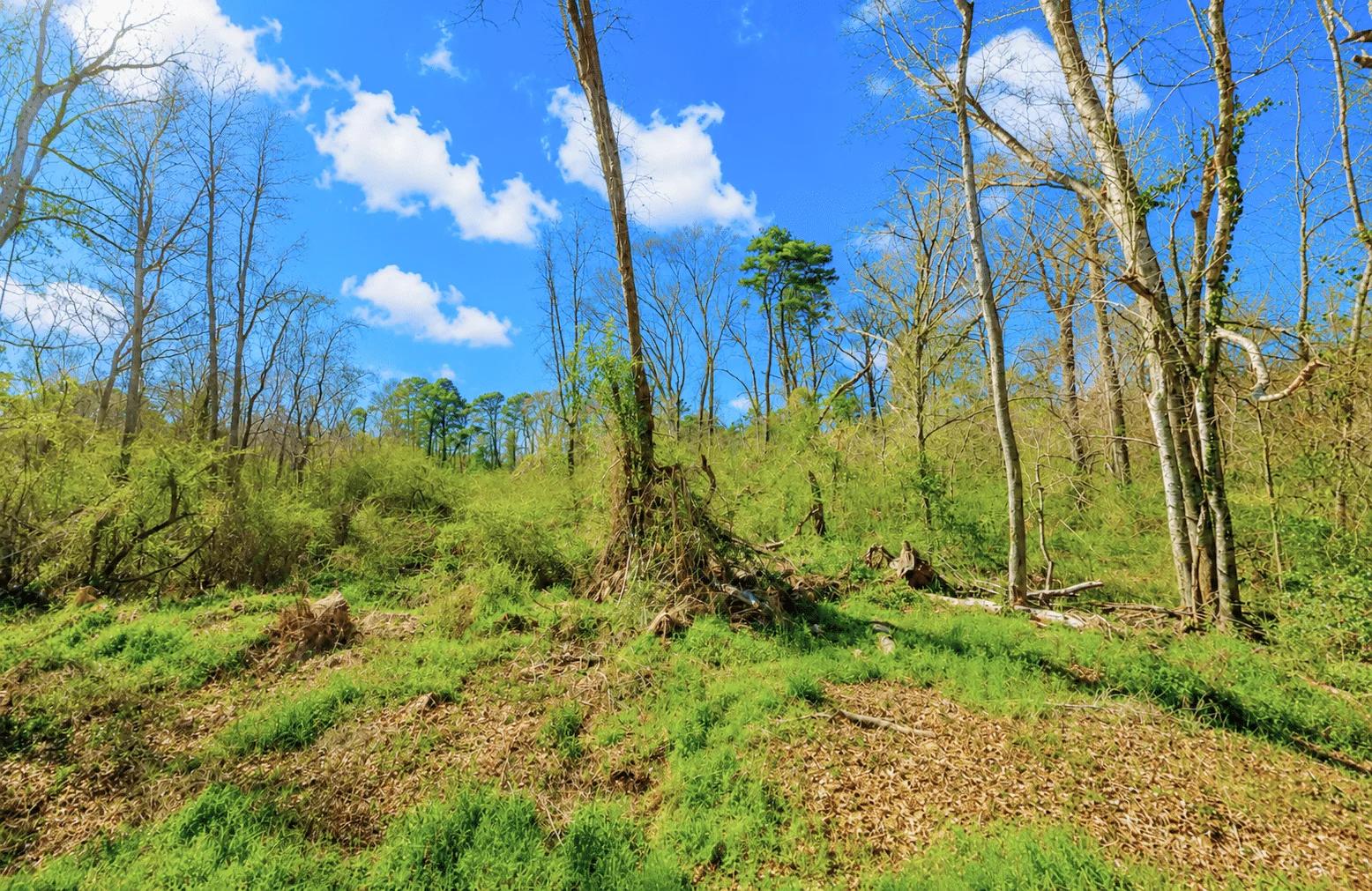 0.31 Acres with Highway Frontage - Image 4