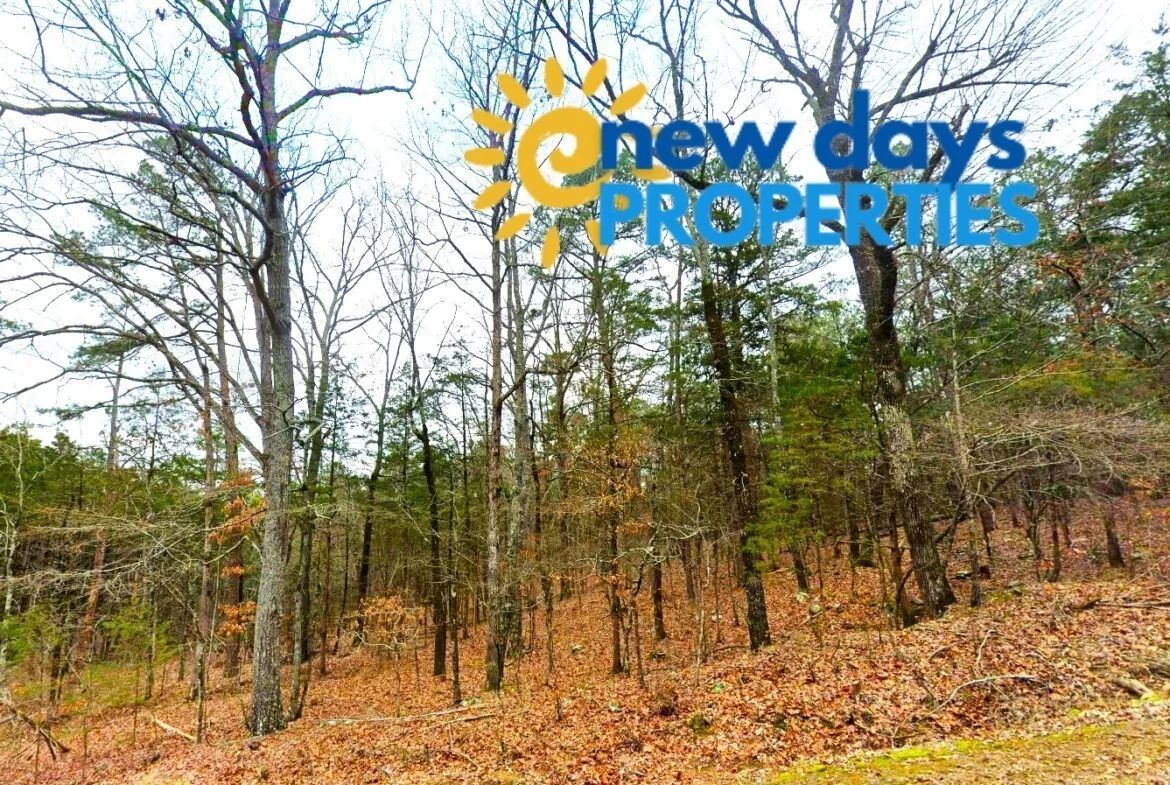 0.30-Acre Treed Land for Sale in Mountain View in Van Buren County, AR