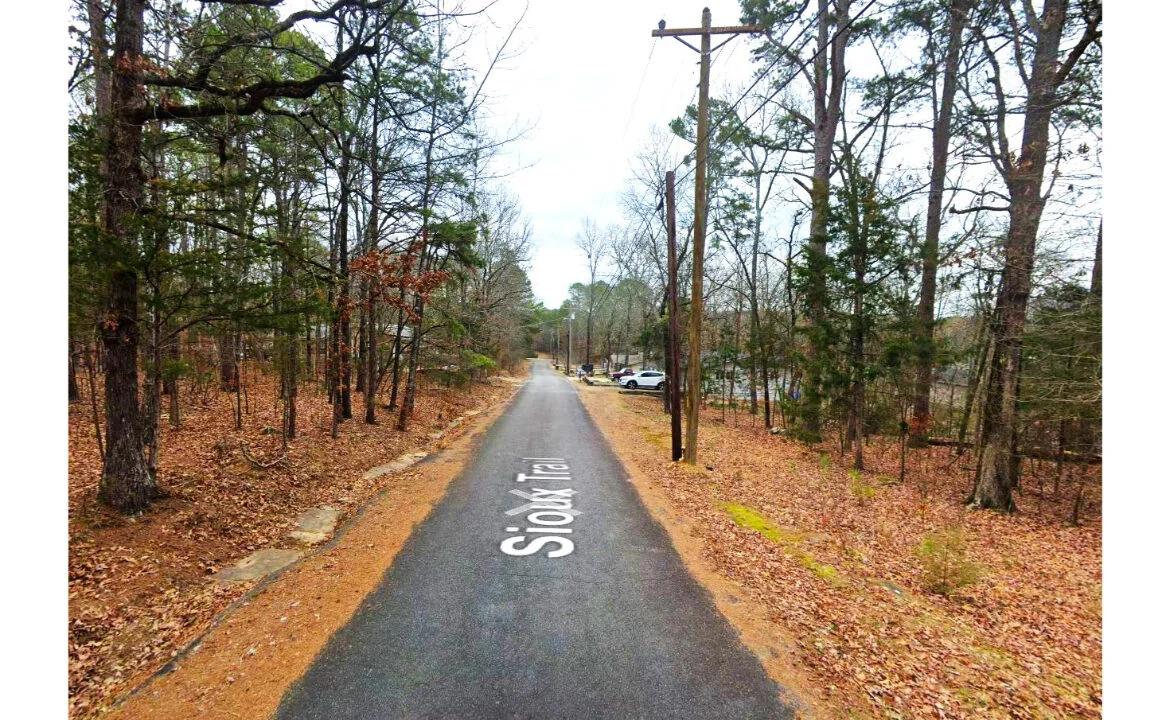 0.30-Acre Treed Land for Sale in Mountain View - Image 3