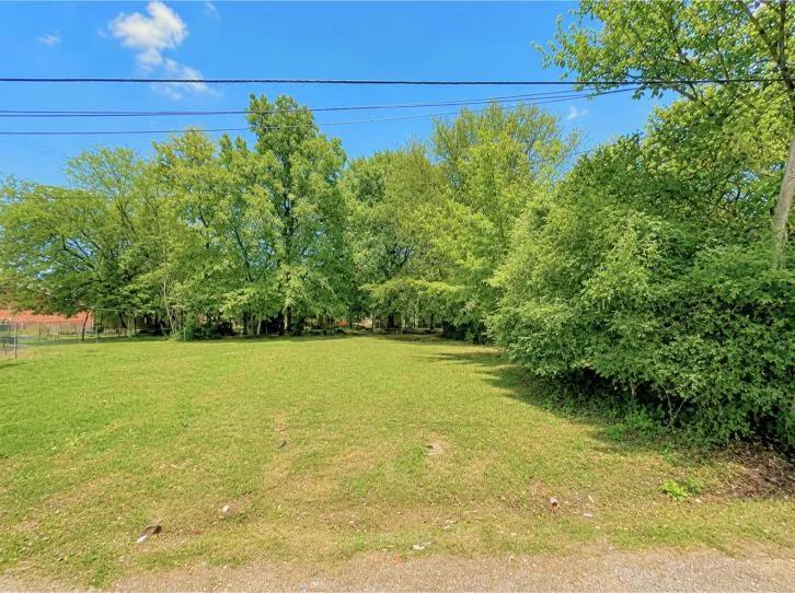 Decorative background for 0.05-Acre Ready-to-Build Lot image 5