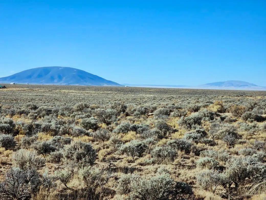 Decorative background for 8.77 Acres for Sale in San Luis, CO image 5