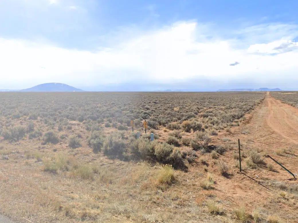 Decorative background for 8.77 Acres for Sale in San Luis, CO image 6