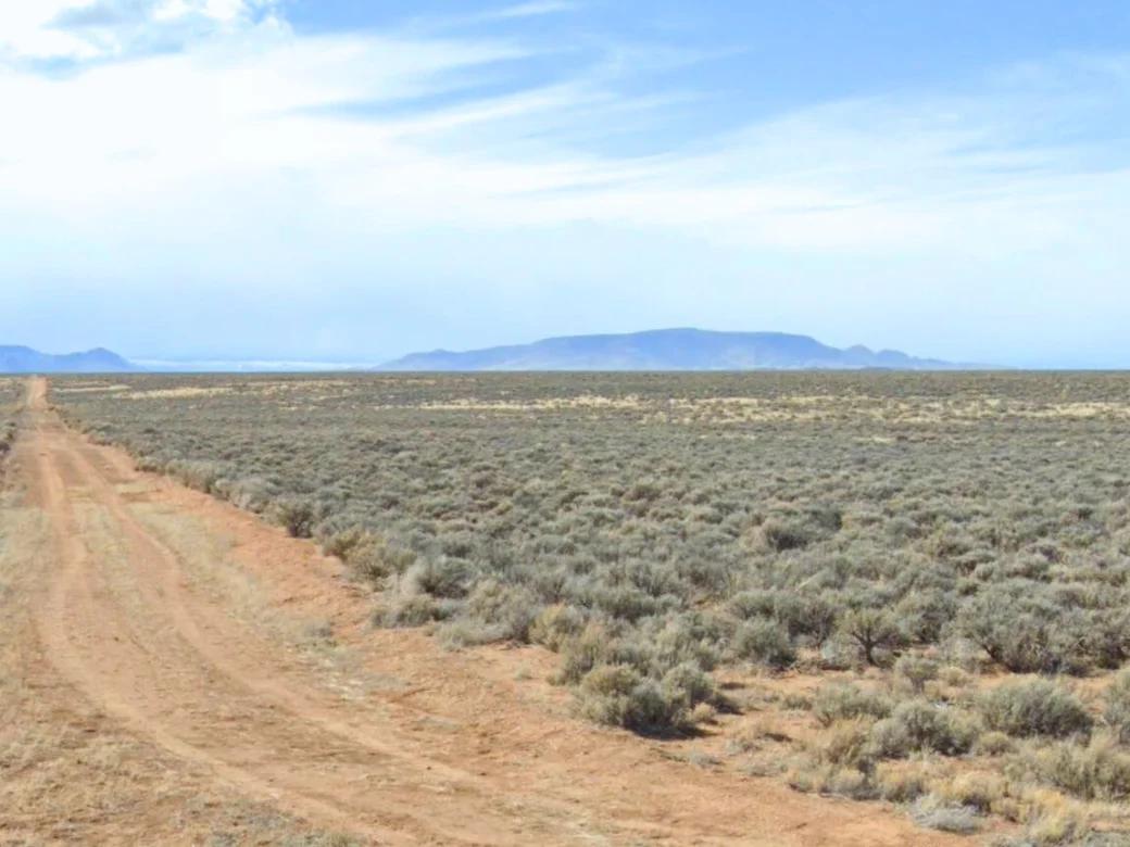 Decorative background for 8.77 Acres for Sale in San Luis, CO image 7