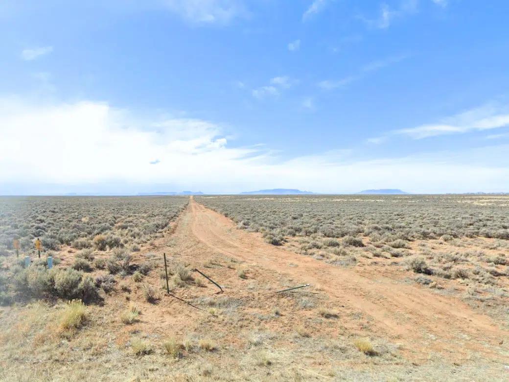 Decorative background for 8.77 Acres for Sale in San Luis, CO image 8